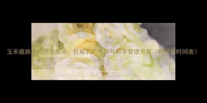 图片 玉米瘟病高效防治指南：权威农药推荐与科学管理方案（附用药时间表）