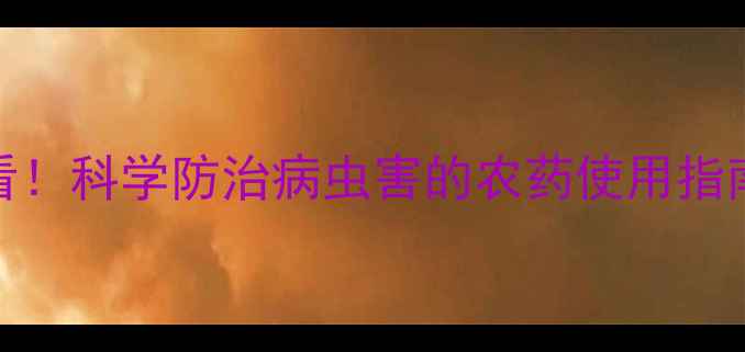 图片 玉米种植必看！科学防治病虫害的农药使用指南与替代方案