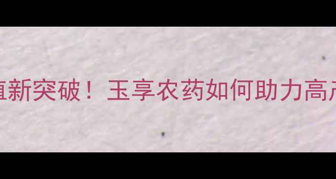 图片 玉米种植新突破！玉享农药如何助力高产增收？