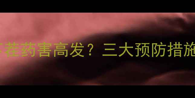图片 玉米除草剂下茬药害高发？三大预防措施+补救方案全