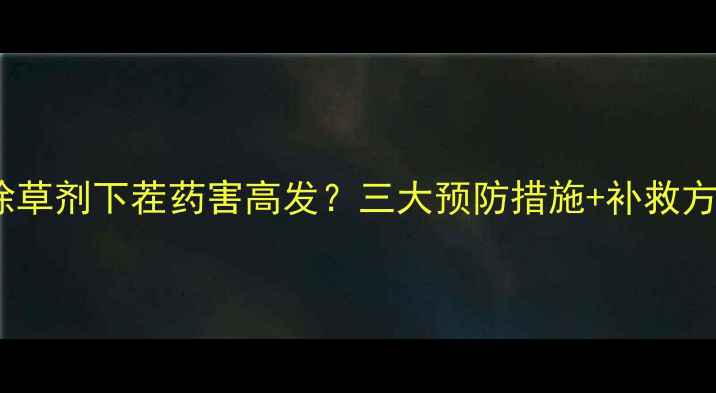 图片 玉米除草剂下茬药害高发？三大预防措施+补救方案全2