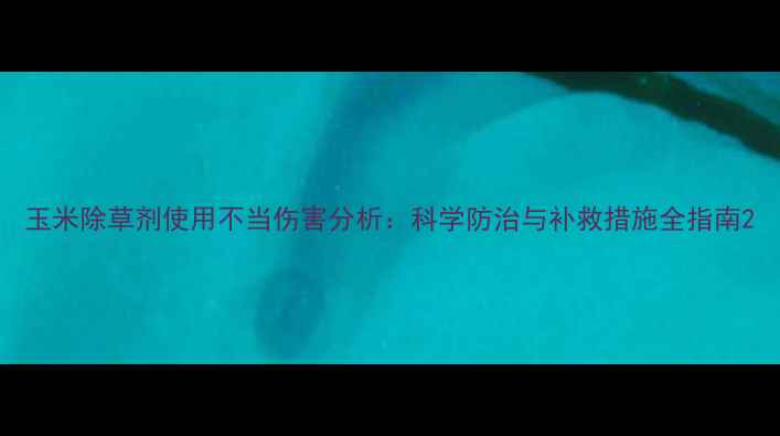 图片 玉米除草剂使用不当伤害分析：科学防治与补救措施全指南2