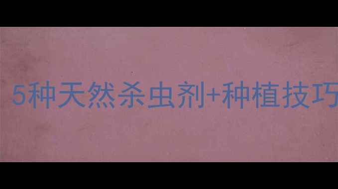 图片 甜菜夜蛾生物农药推荐！5种天然杀虫剂+种植技巧，助你轻松搞定秋收！1