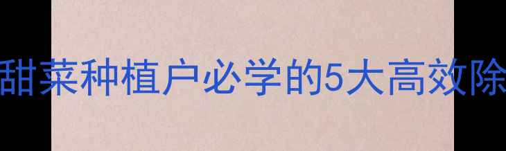 图片 甜菜安宁除草剂：甜菜种植户必学的5大高效除草技术及使用指南