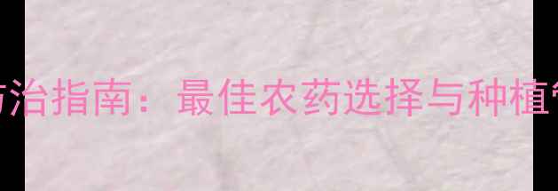 图片 生姜科学防治指南：最佳农药选择与种植管理全攻略