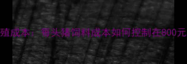 图片 生猪养殖成本：每头猪饲料成本如何控制在800元以内？