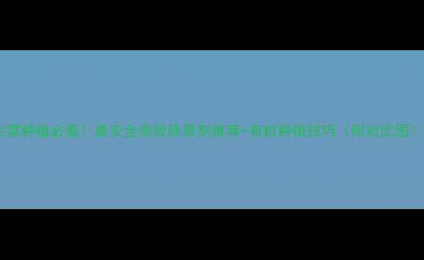 图片 生菜种植必看！最安全高效除草剂推荐+有机种植技巧（附对比图）1