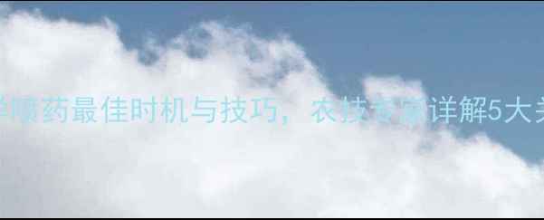 图片 番薯科学喷药最佳时机与技巧，农技专家详解5大关键节点