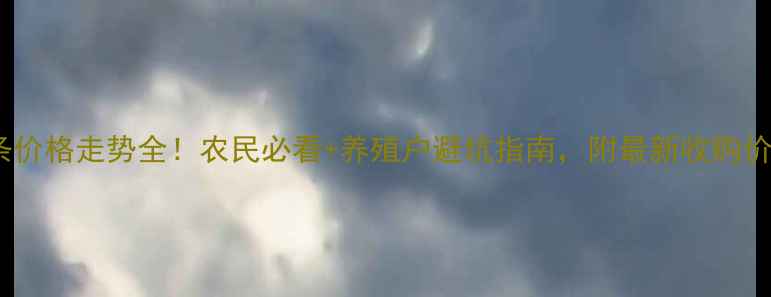 图片 白条价格走势全！农民必看+养殖户避坑指南，附最新收购价表1