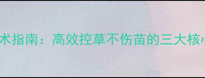 图片 白瓜子苗后除草剂使用技术指南：高效控草不伤苗的三大核心要点（附农科院数据）2