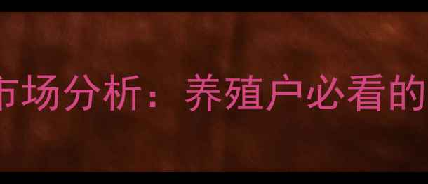 图片 白羽毛鸭价格行情及市场分析：养殖户必看的成本收益与趋势预测2