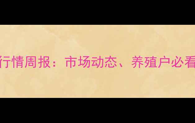 图片 白羽肉鸡苗价格行情周报：市场动态、养殖户必看分析与养殖建议
