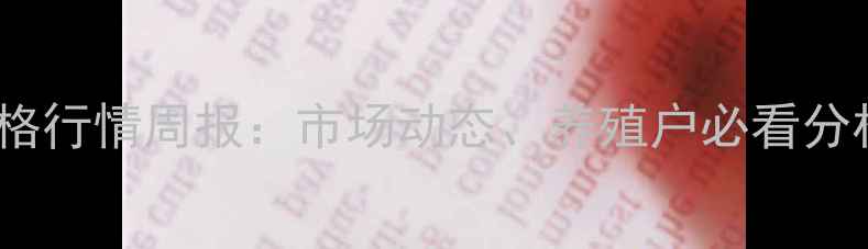 图片 白羽肉鸡苗价格行情周报：市场动态、养殖户必看分析与养殖建议2