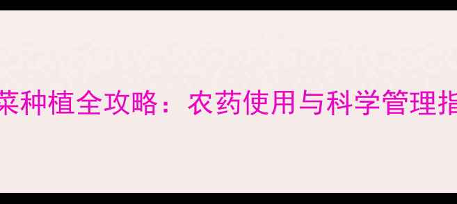 图片 白菜种植全攻略：农药使用与科学管理指南