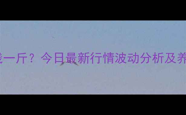 图片 白鸭价格多少钱一斤？今日最新行情波动分析及养殖户应对策略1