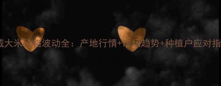 图片 盐城大米价格波动全：产地行情+市场趋势+种植户应对指南2