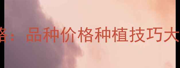 图片 石家庄农药购买全攻略：品种价格种植技巧大公开（附店铺地址）2