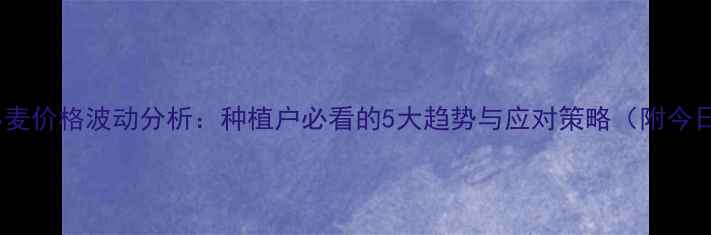 图片 石家庄小麦价格波动分析：种植户必看的5大趋势与应对策略（附今日报价）2