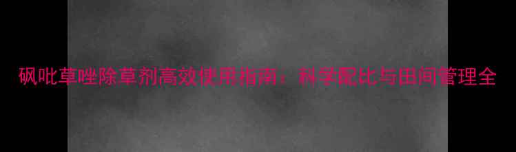 图片 砜吡草唑除草剂高效使用指南：科学配比与田间管理全