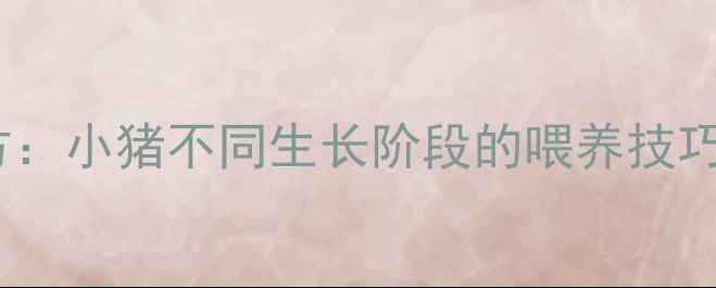 图片 科学配制饲料配方：小猪不同生长阶段的喂养技巧与营养搭配指南2