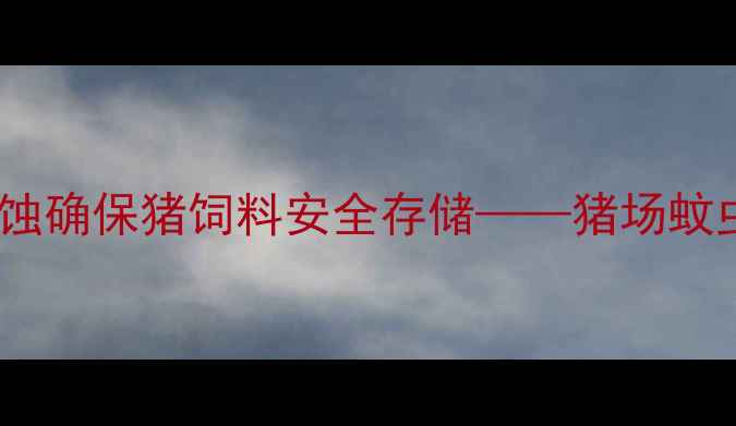 图片 科学防控蚊虫侵蚀确保猪饲料安全存储——猪场蚊虫综合治理指南1