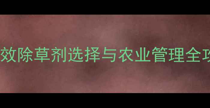 图片 科学防治牛繁缕：高效除草剂选择与农业管理全攻略（附最新技术）2