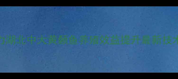图片 科学饲料配方助力湖北中大黄颡鱼养殖效益提升最新技术与成本效益分析