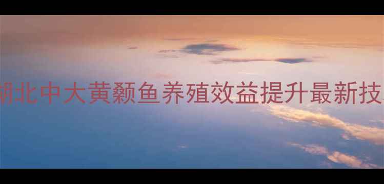 图片 科学饲料配方助力湖北中大黄颡鱼养殖效益提升最新技术与成本效益分析2
