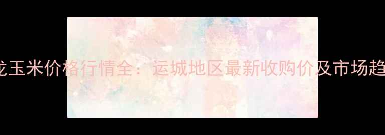 图片 稷山晋龙玉米价格行情全：运城地区最新收购价及市场趋势分析1