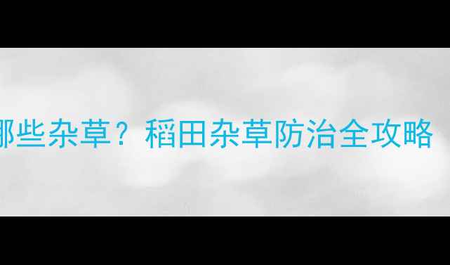 图片 稻悠农药能防哪些杂草？稻田杂草防治全攻略（附使用技巧）