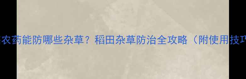 图片 稻悠农药能防哪些杂草？稻田杂草防治全攻略（附使用技巧）1