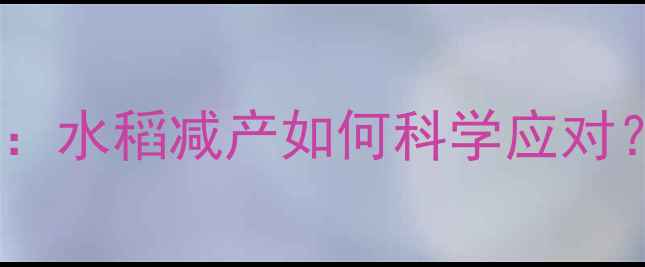 图片 稻田除草剂误施补救指南：水稻减产如何科学应对？附误用案例与预防方案1