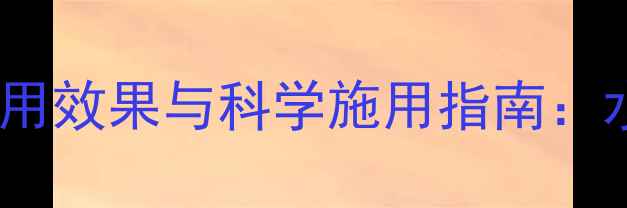 图片 稻青青除草剂使用效果与科学施用指南：水稻田除草技术1
