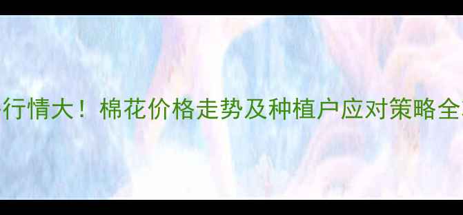 图片 籽棉价格行情大！棉花价格走势及种植户应对策略全攻略🌱📊