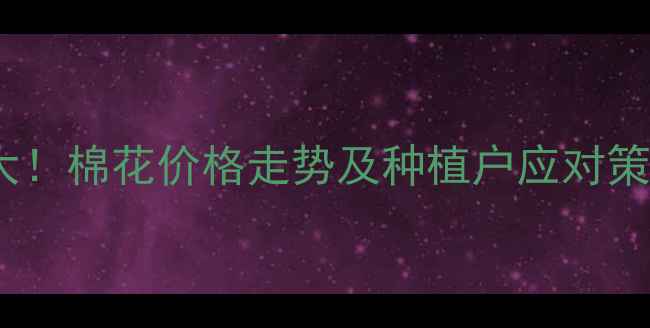 图片 籽棉价格行情大！棉花价格走势及种植户应对策略全攻略🌱📊2