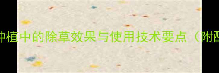 图片 精喹禾灵在菊花种植中的除草效果与使用技术要点（附配比与注意事项）