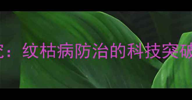 图片 精甲双璘最新研究：纹枯病防治的科技突破与安全使用指南1