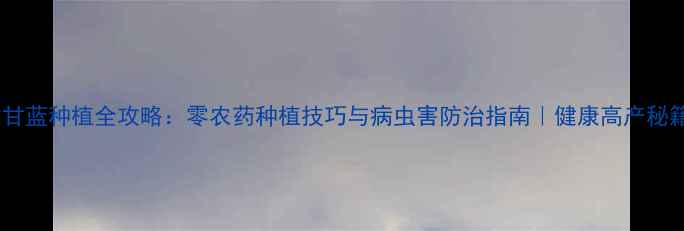 图片 紫甘蓝种植全攻略：零农药种植技巧与病虫害防治指南｜健康高产秘籍1