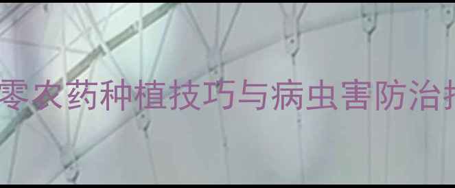 图片 紫甘蓝种植全攻略：零农药种植技巧与病虫害防治指南｜健康高产秘籍2