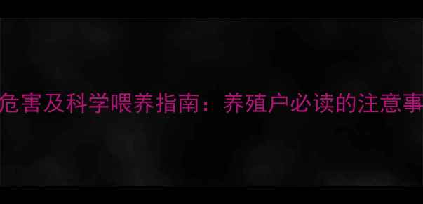图片 绵羊饲料过量危害及科学喂养指南：养殖户必读的注意事项与解决方案