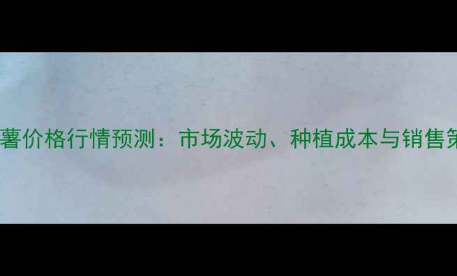 图片 美丰稻薯价格行情预测：市场波动、种植成本与销售策略全1