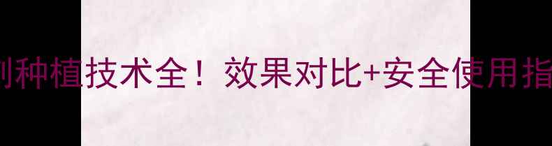 图片 美国VS越南除草剂种植技术全！效果对比+安全使用指南，农民必看！2