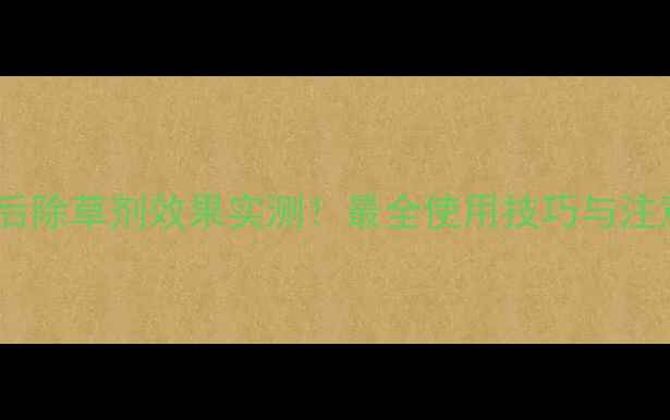 图片 老马苗后除草剂效果实测！最全使用技巧与注意事项1