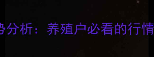 图片 聊城毛鸡价格走势分析：养殖户必看的行情预测与养殖建议2