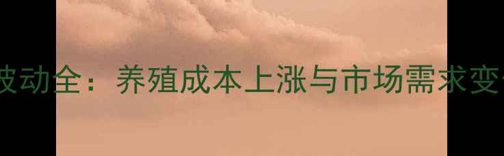 图片 肉鸡毛鸡价格波动全：养殖成本上涨与市场需求变化的双重影响2