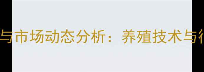 图片 肉鸡苗价格走势与市场动态分析：养殖技术与行情预测全解读2