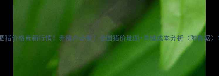 图片 肥猪价格最新行情！养殖户必看！全国猪价地图+养殖成本分析（附数据）1