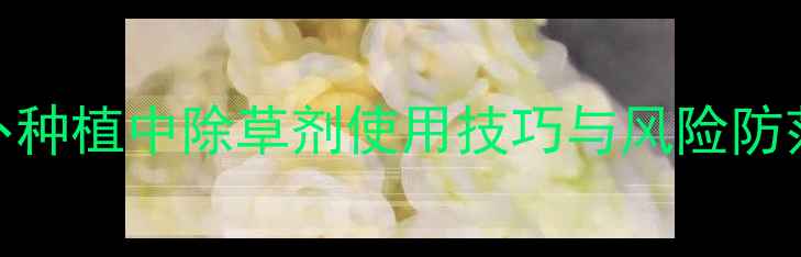 图片 胡萝卜种植中除草剂使用技巧与风险防范指南