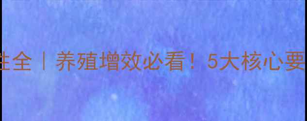 图片 能量饲料特性全｜养殖增效必看！5大核心要点+选粮指南