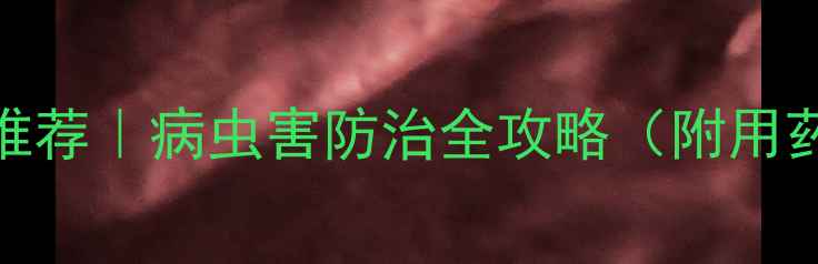 图片 脐橙种植专用农药推荐｜病虫害防治全攻略（附用药清单+操作视频）2